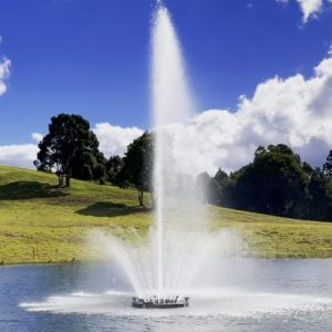 Otterbine Giant Fountain 10hp - 25hp