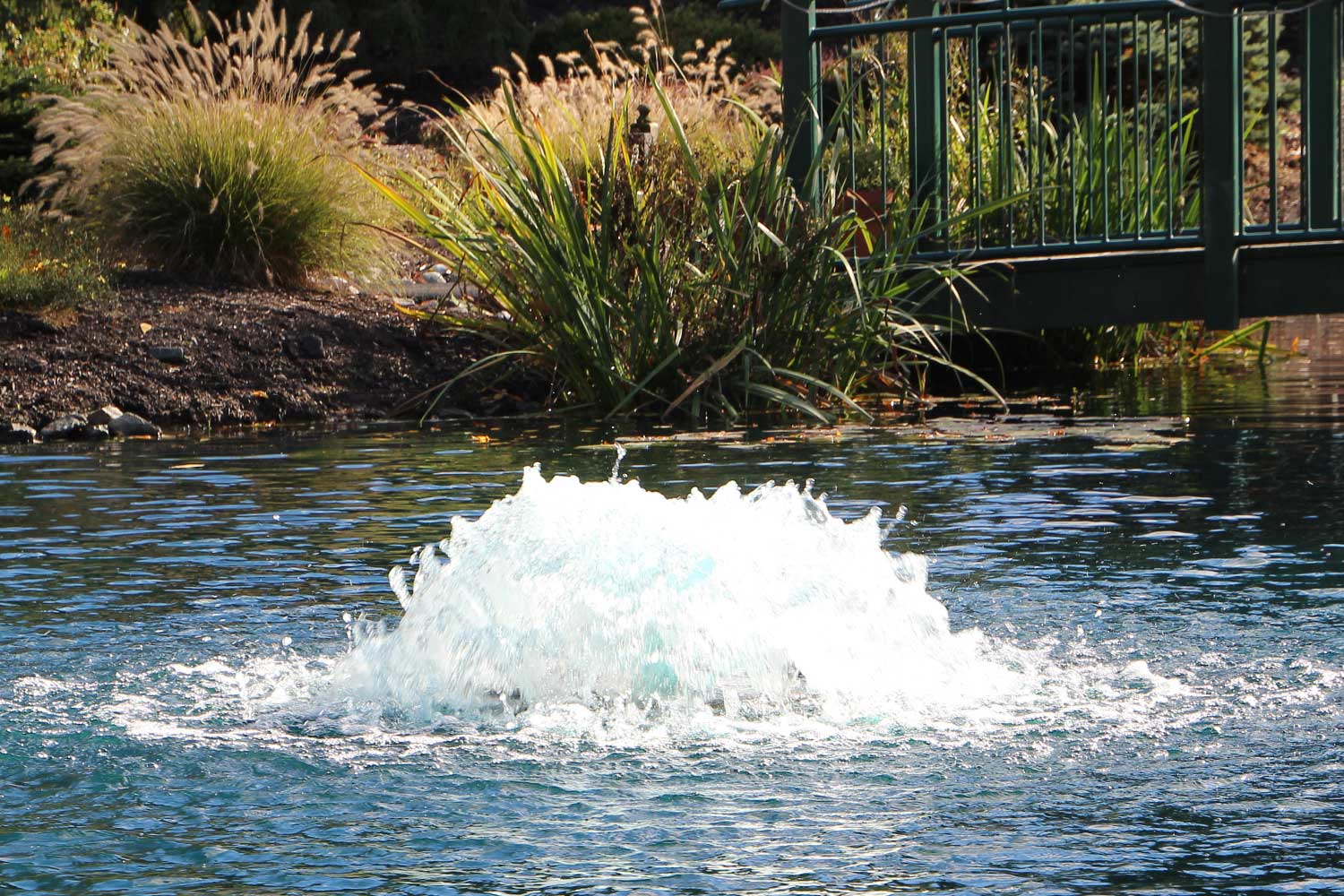 Otterbine Fractional Series 1/2hp Aerating Fountain - Image 5