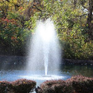 Otterbine Fractional Series 1/2hp Aerating Fountain