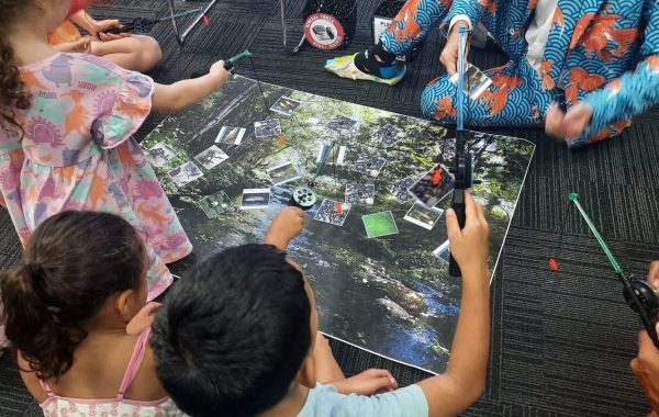 School Pond & Stream Builds with Educational Incursion