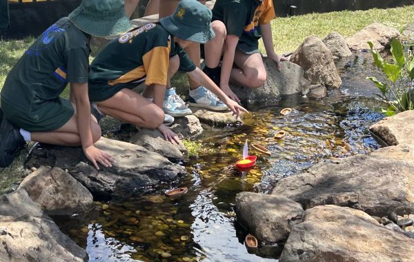 Why Schools & Childcare Centres Are Adding Ponds & Pondless Streams to their Outdoor Space