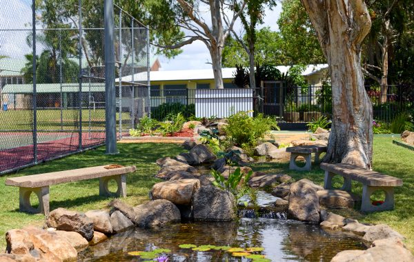 The Kallangur State School Ecosystem Pond