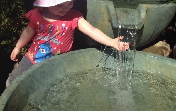 Why Ponds Are Powerful for Childhood Development