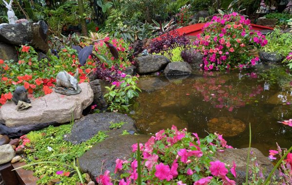 Is My Property Suitable for a Pond?