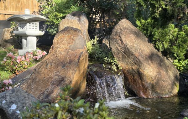 Japanese Water Garden – Sunshine Coast