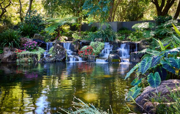 From Leaking Farm Dam to Luxury Pond