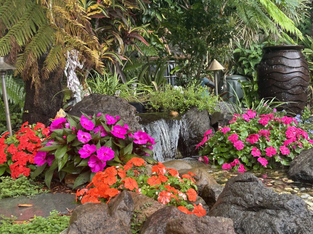 Pond Works backyard pond at home surrounded by colourful impatiens planting along the water’s edge