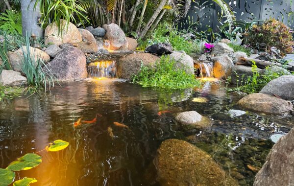 How Much Does It Cost to Build a Pond in Brisbane?