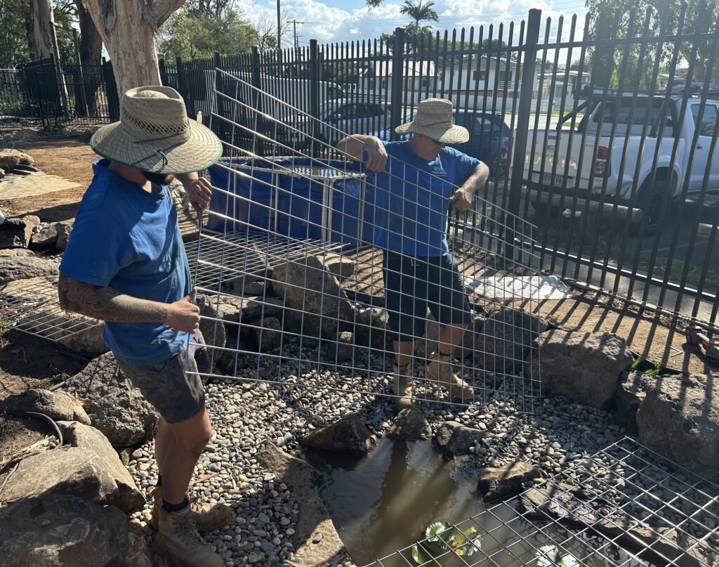 Installing reinforced safety grid system beneath pond surface at Kallangur State School during water feature construction