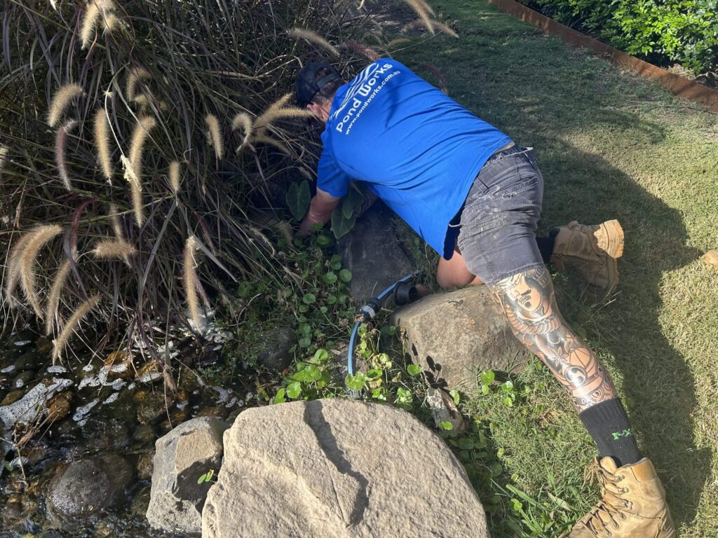 Pond Works team member performing routine pond maintenance and equipment checks on a backyard ecosystem pond in Brisbane.
