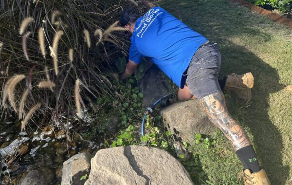 The Four Pillars of Pond Works Maintenance: Cleaning, Relining, Repairs, Rebuilding
