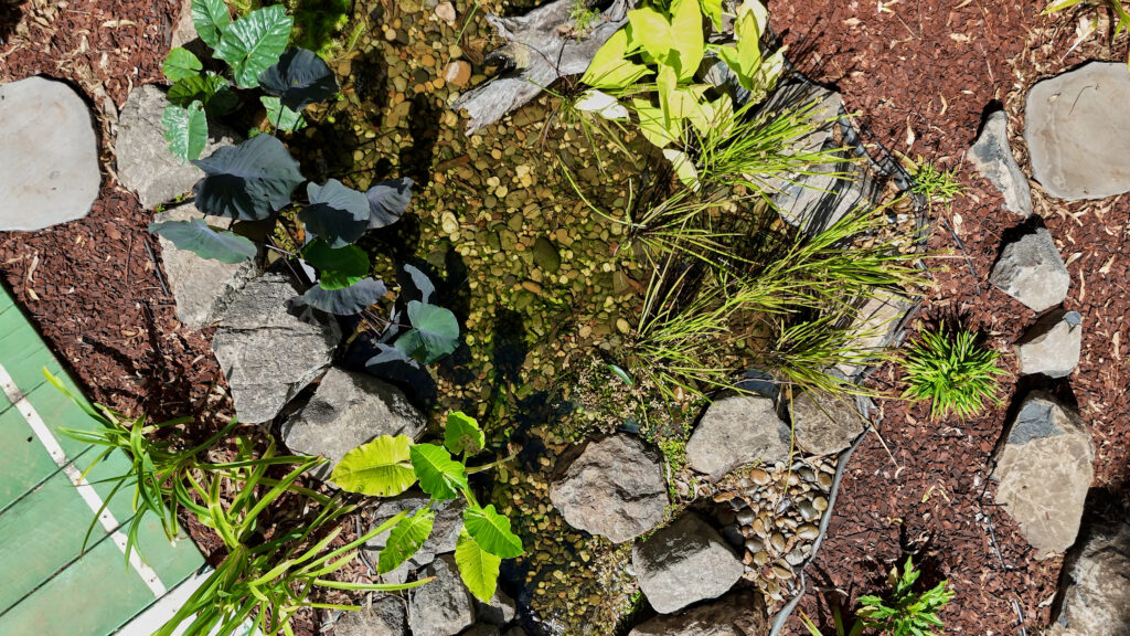 Top-down view of a rocky garden bed with large stones, pebbles, and green tropical plants surrounded by brown mulch.