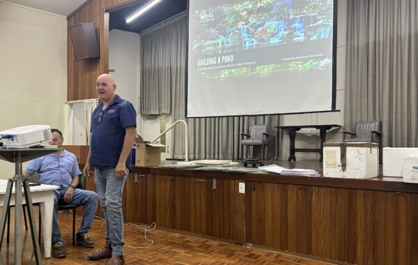 Building a Pond: Mark Shares His Knowledge with the ANGFA Community